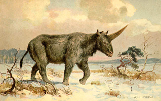 A painting from the 1920s by Heinrich Harder showing what the Siberian unicorn might have looked like.